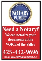 voice notary