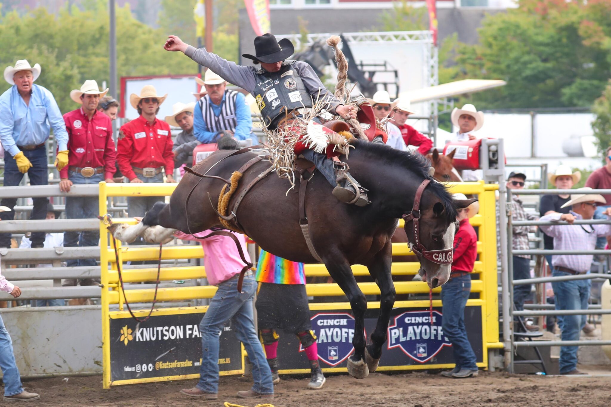 Cinch Playoffs champions crowned at Puyallup Rodeo VOICE of the Valley