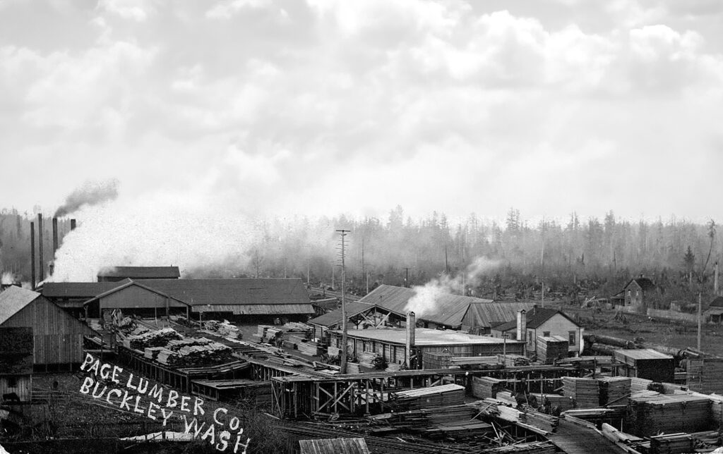 WHEN COAL WAS KING Page Lumber Company, Buckley VOICE of the Valley