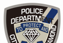 Black Diamond Police Reports